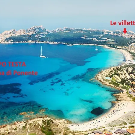 Le Di Capo Testa